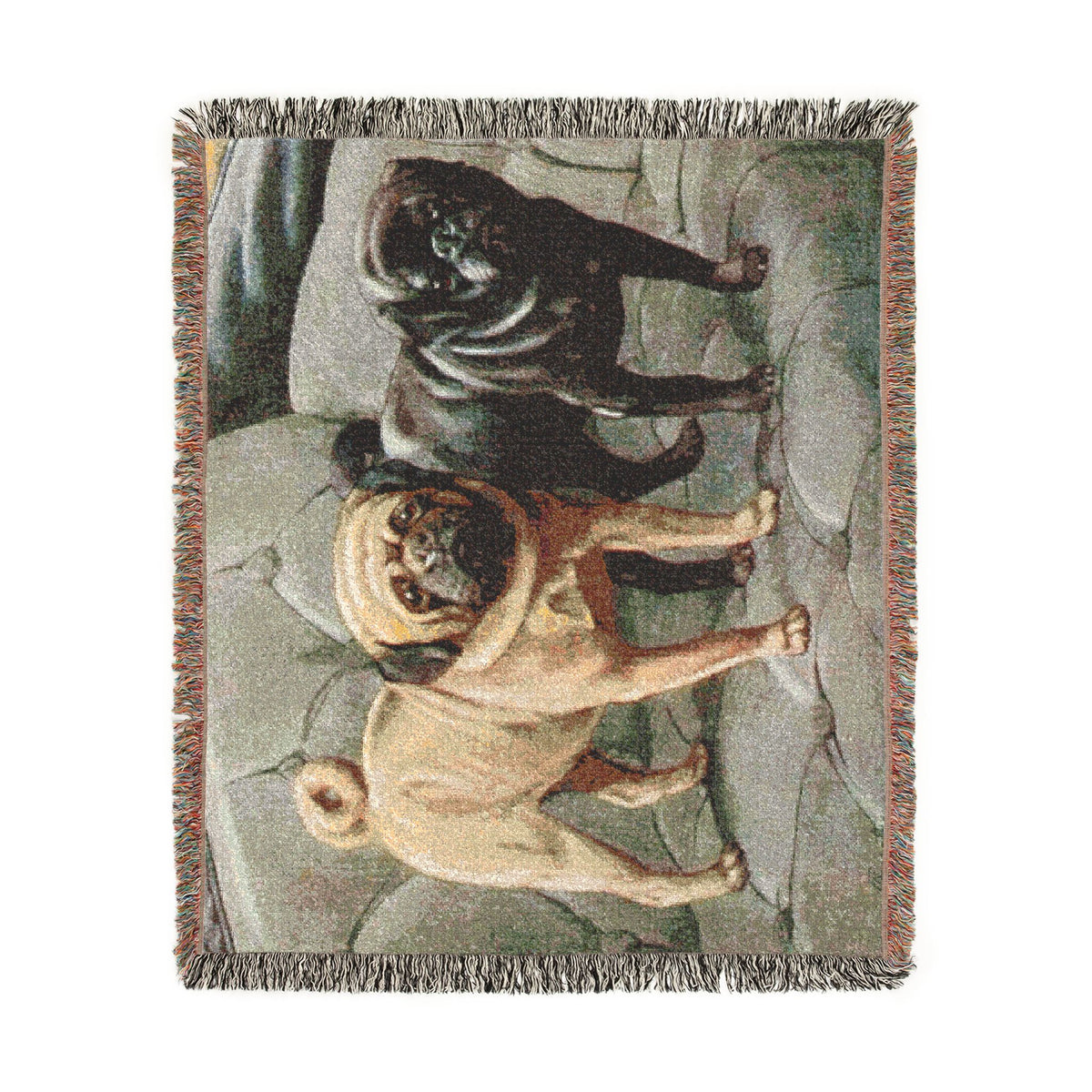 The Book Of Dogs: Pug Woven Throw Blanket