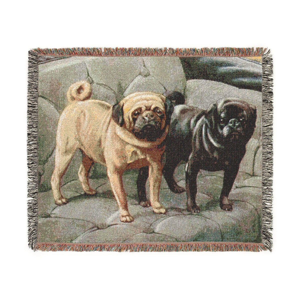 The Book Of Dogs: Pug Woven Throw Blanket