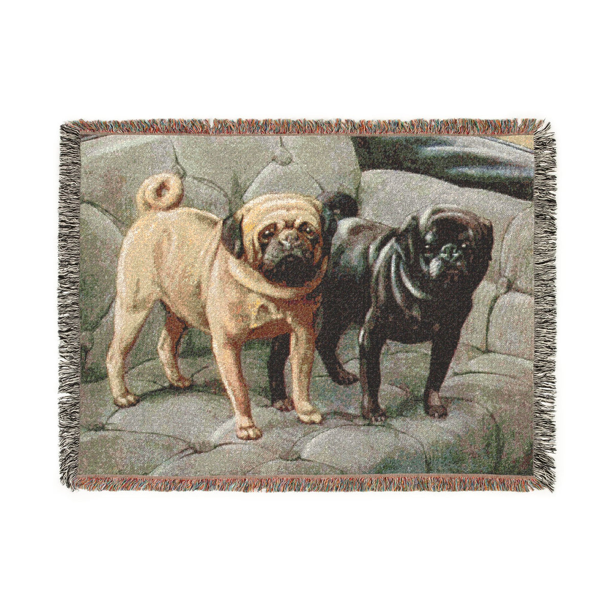 The Book Of Dogs: Pug Woven Throw Blanket