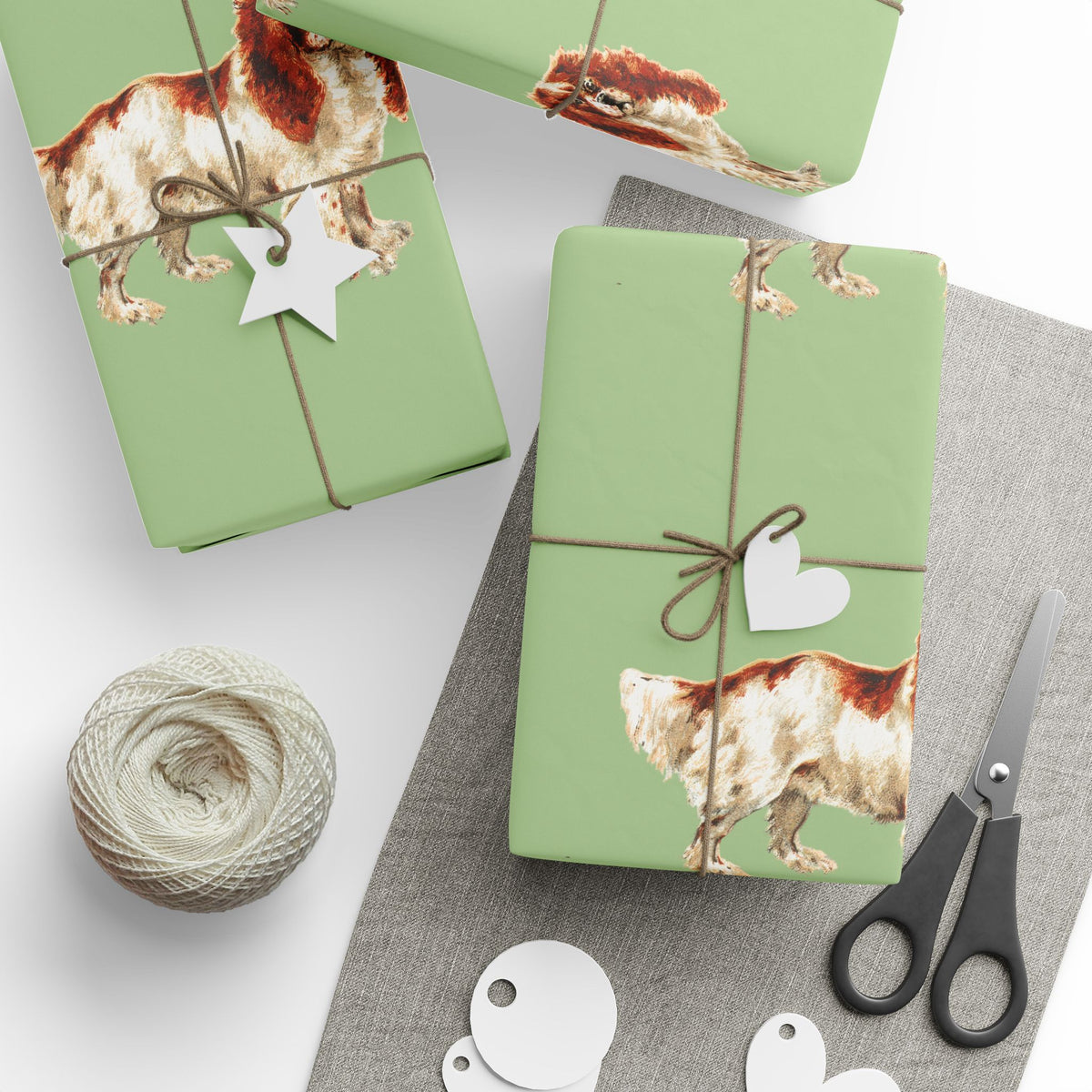 Cavalier King Charles Spaniel Wrapping Paper