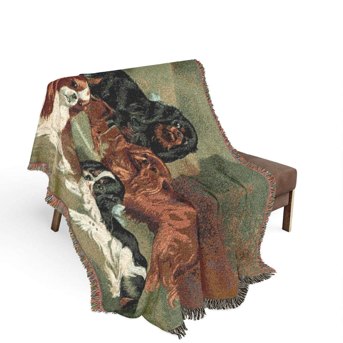 The Book of Dogs: Cavalier King Charles Spaniel  Woven Throw Blanket