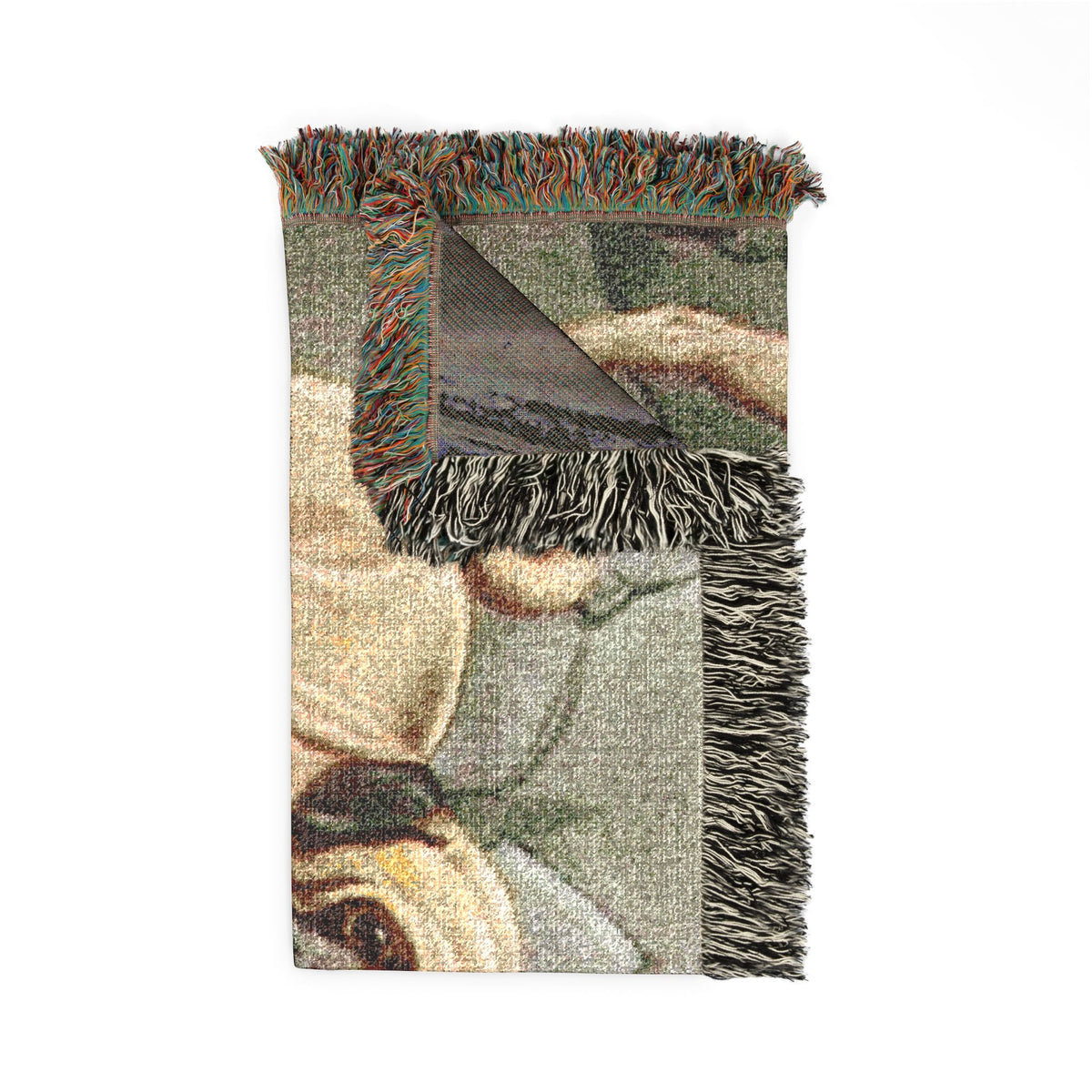 The Book Of Dogs: Pug Woven Throw Blanket