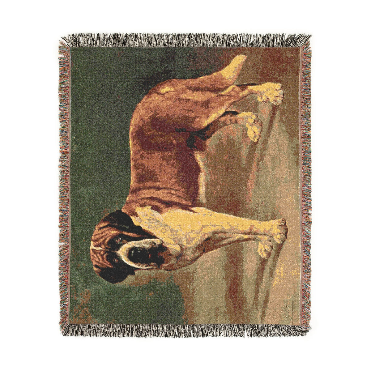 Copy of The Book of Dogs: Saint Bernard Woven Throw Blanket
