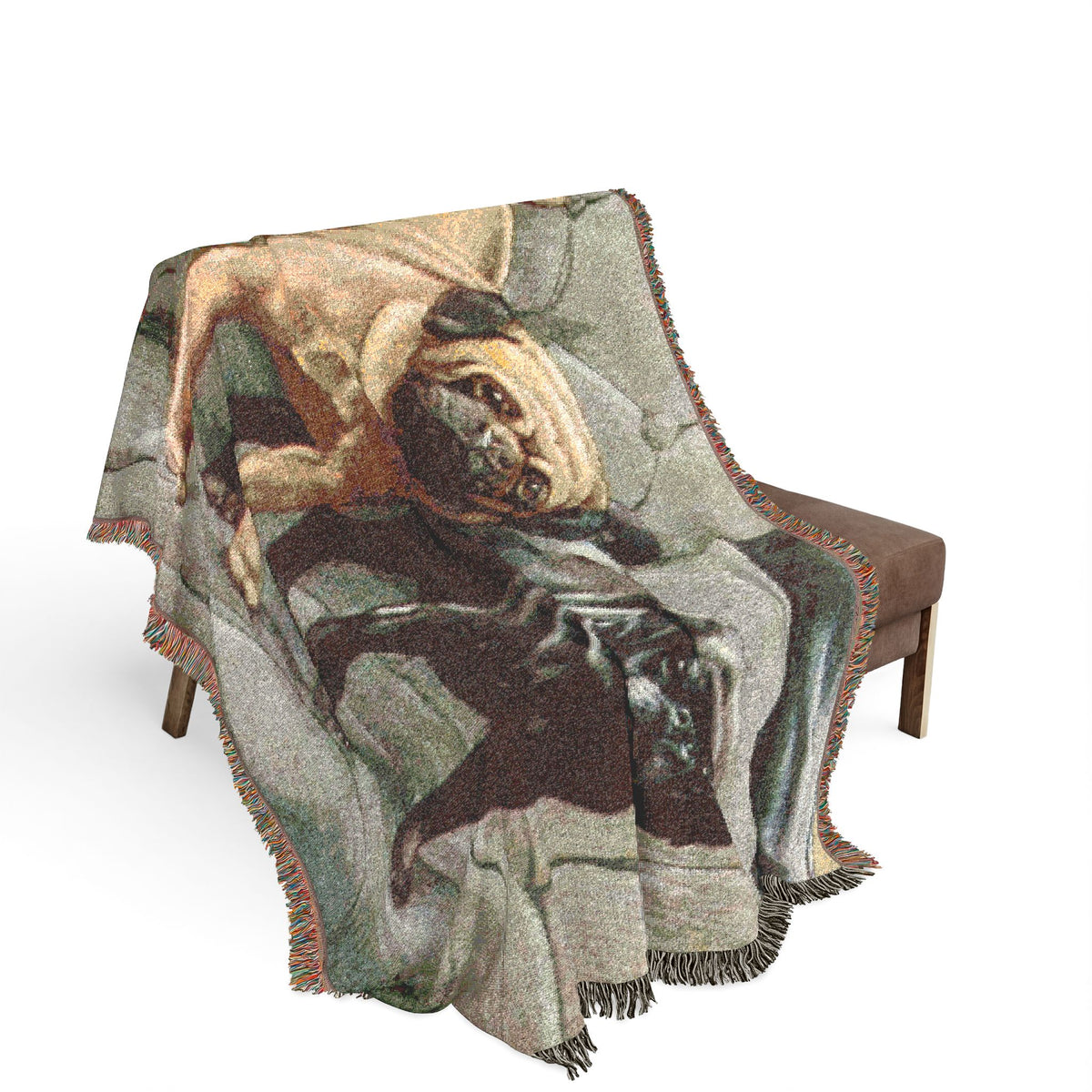 The Book Of Dogs: Pug Woven Throw Blanket