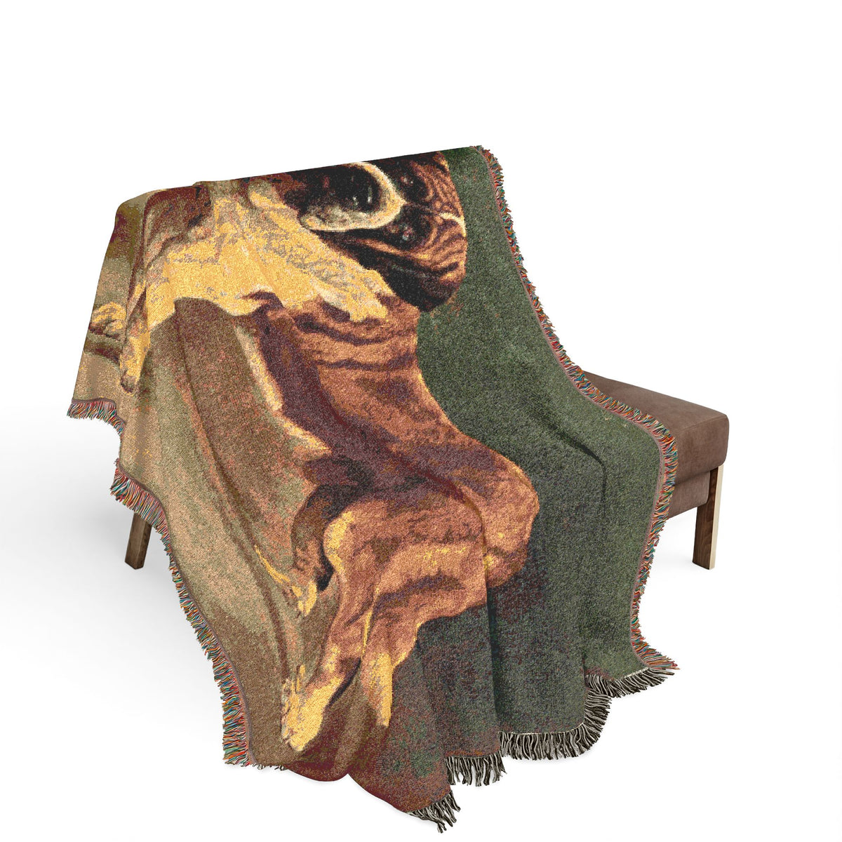 The Book of Dogs: Saint Bernard Woven Throw Blanket